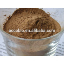 Flammulina Velutipes Extract Powder / cogumelo de agulha dourada, Polissacarídeo10% -30% UV; 10: 1,20: 1